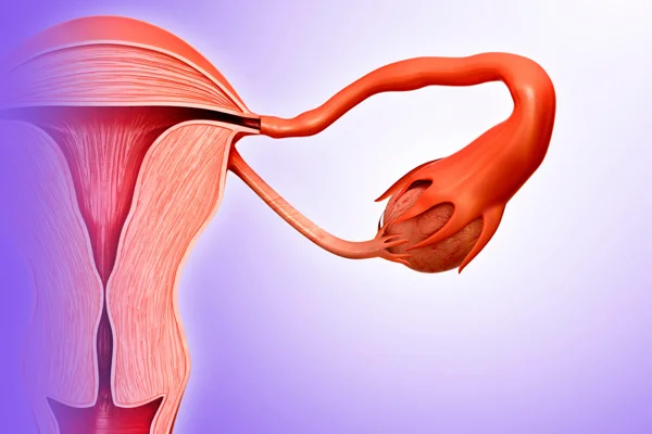 Pelvic Organ Prolapse